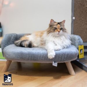 Cama sofá para gatos