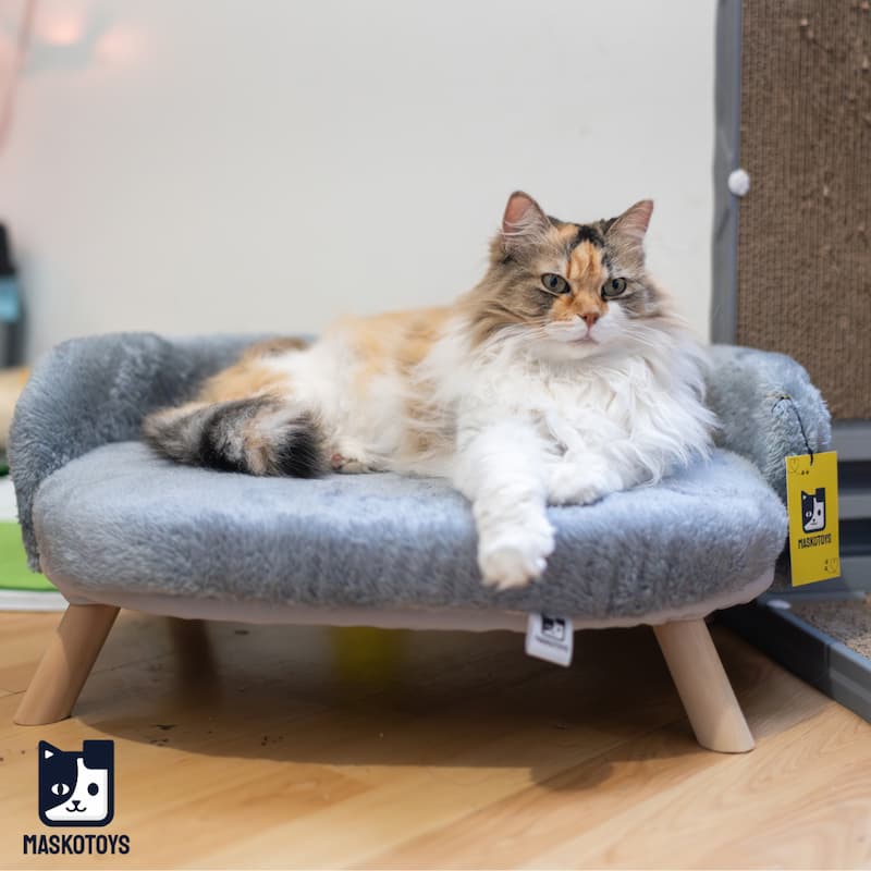 Cama sofá para gatos