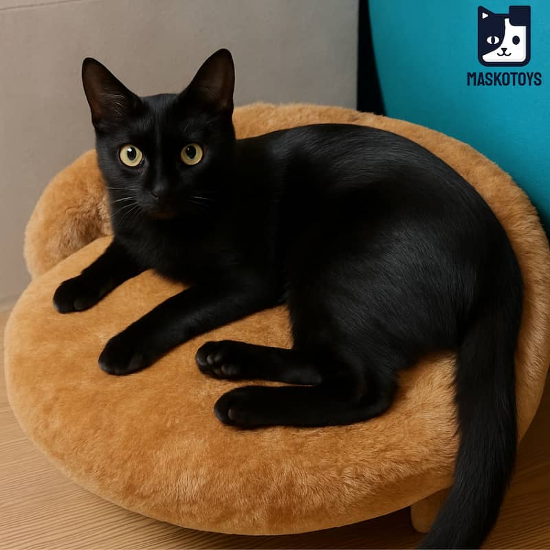 Cama sofá para gatos - Imagen 8