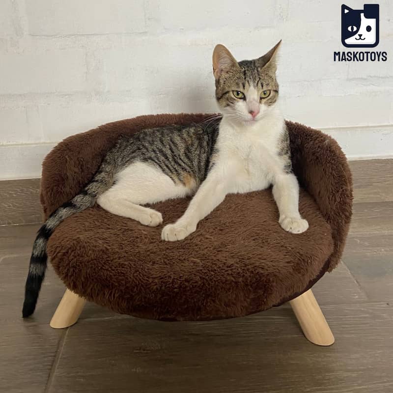 Cama sofá para gatos - Imagen 7