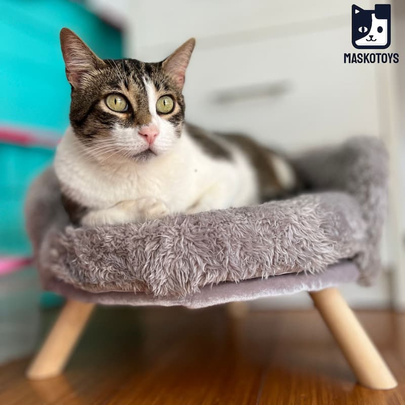 Cama sofá para gatos - Imagen 3